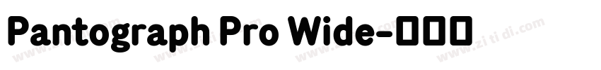 Pantograph Pro Wide字体转换